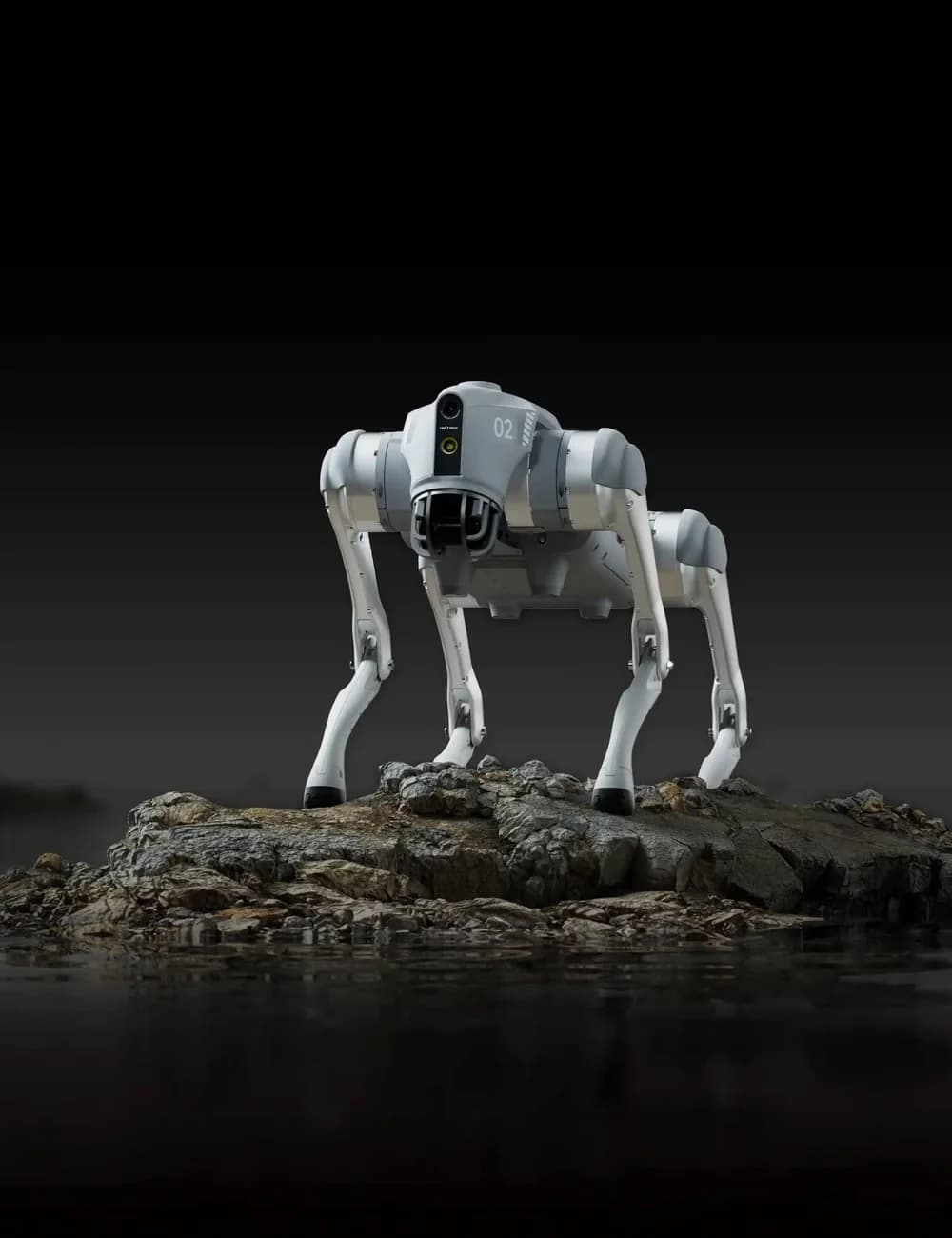 Official Unitree product image of the Go2 quadruped robot