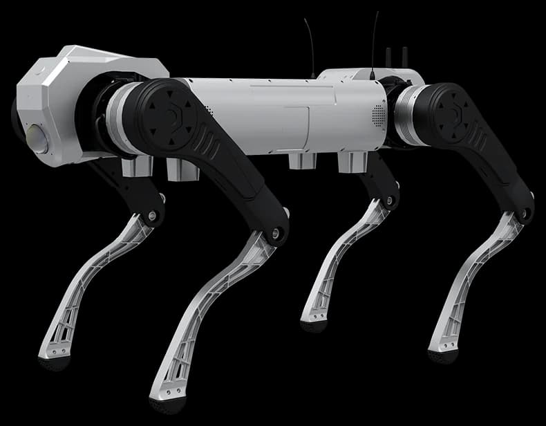 White-bodied quadruped with black upper legs and open silver lower legs.
